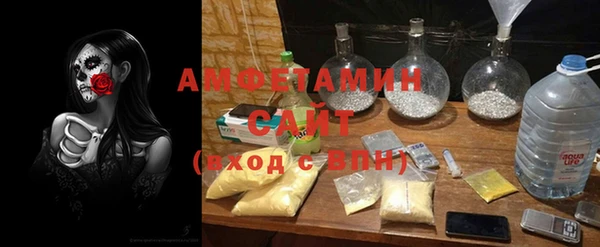 дживик Белокуриха