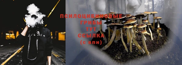 дживик Белокуриха