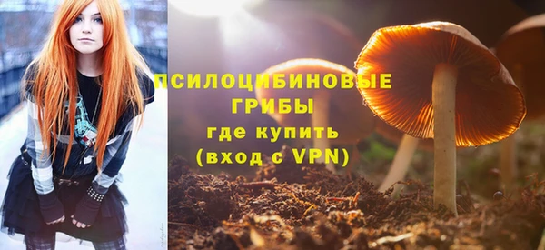 дживик Белокуриха