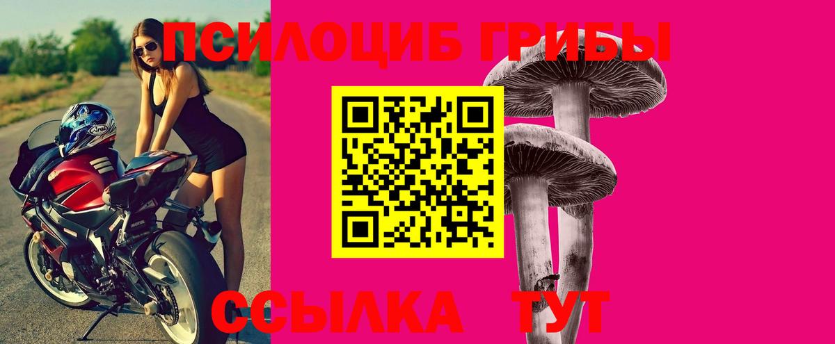 Великие Луки  Галлюциногенные грибы мицелий  Вход с VPN 